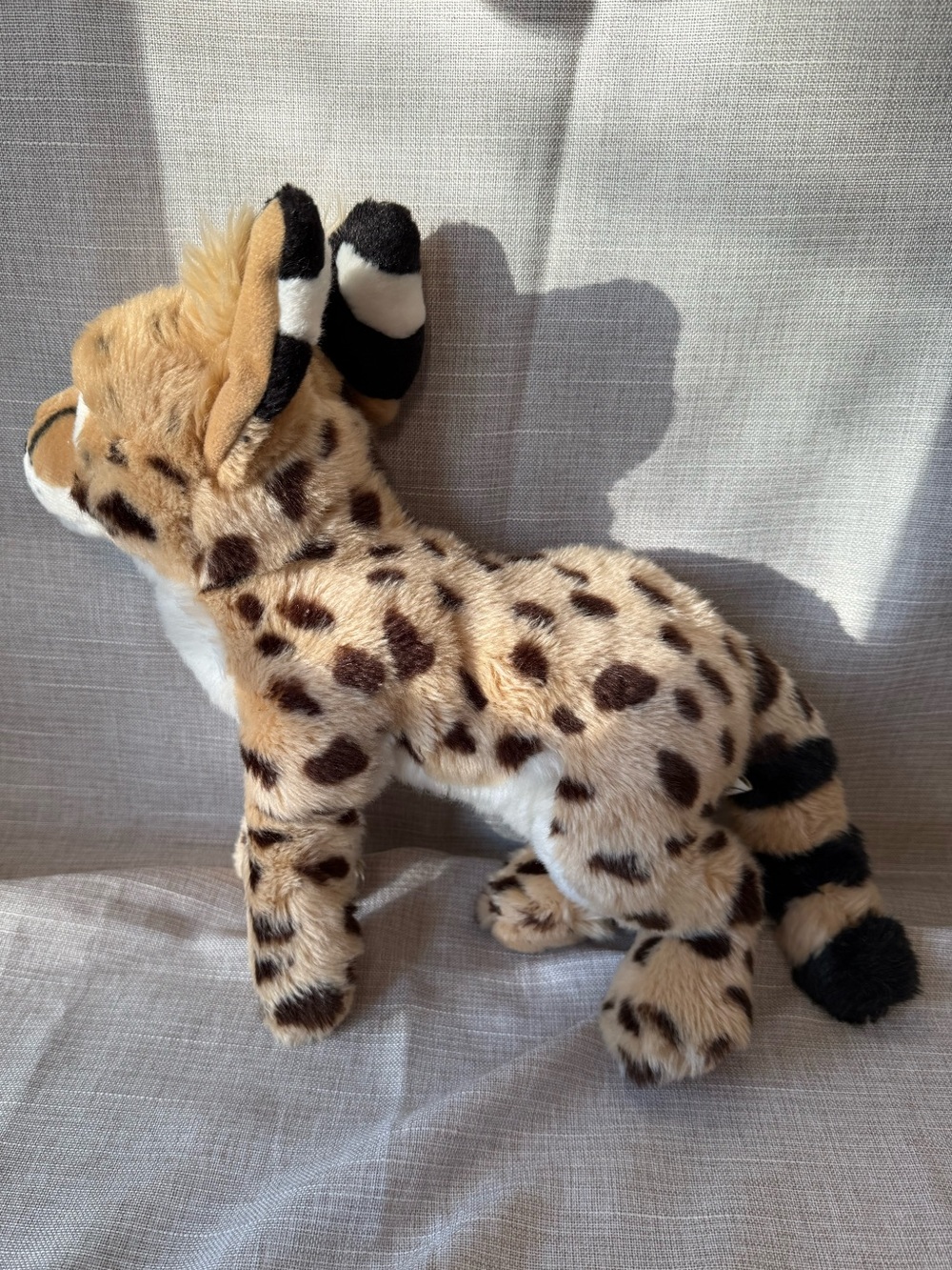 2017 SOS Save Our Space Serval Plush Rare Discounted – Collectible Big Cat - Picture 15 of 16